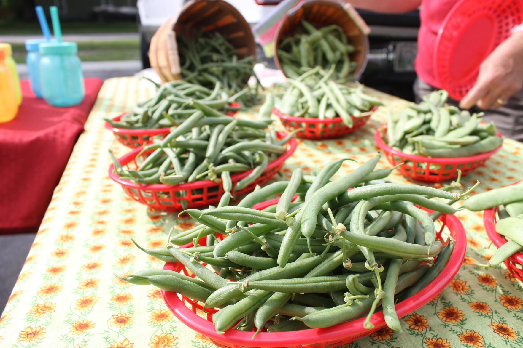 green beans.JPG
